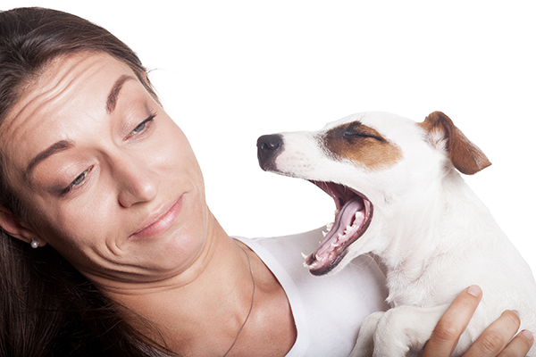 Pets With Bad Breath Is A Stinky Issue
